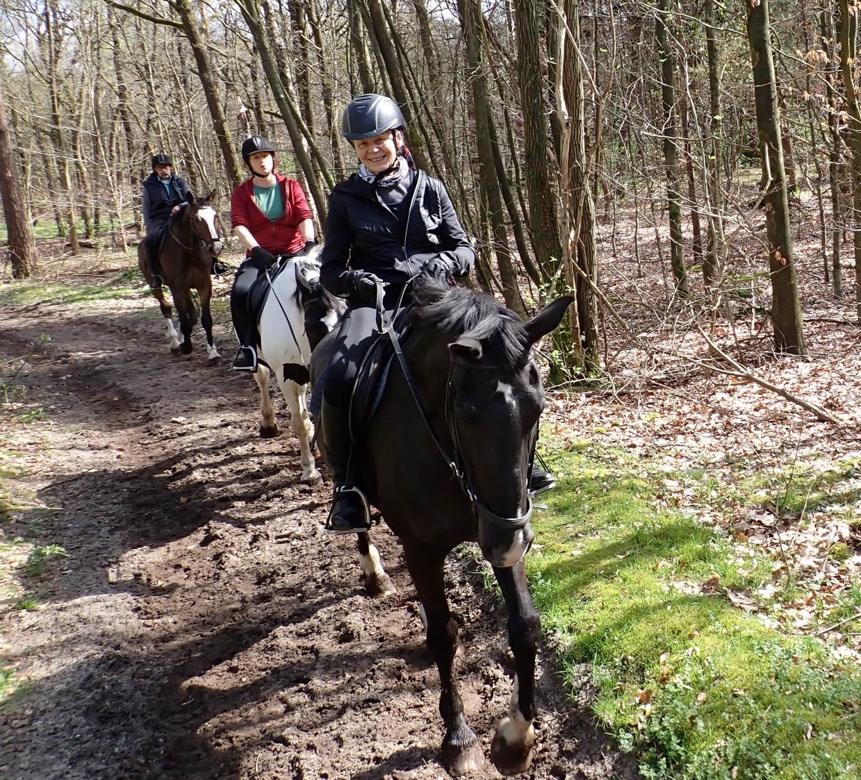 Zeist01